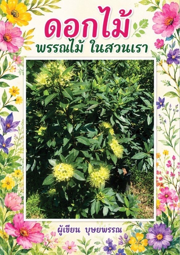 ดอกไม้ พรรณไม้ ในสวนเรา